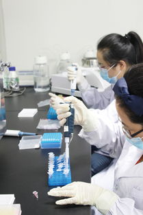 ELISA检测技术服务介绍